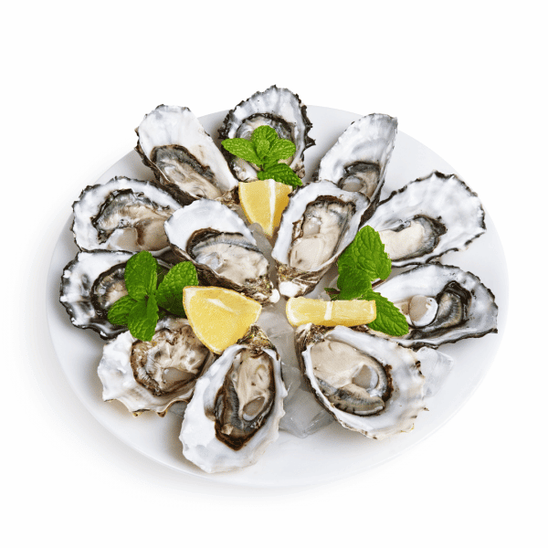 Mayi Market - Dozen Oysters